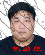 陈辉