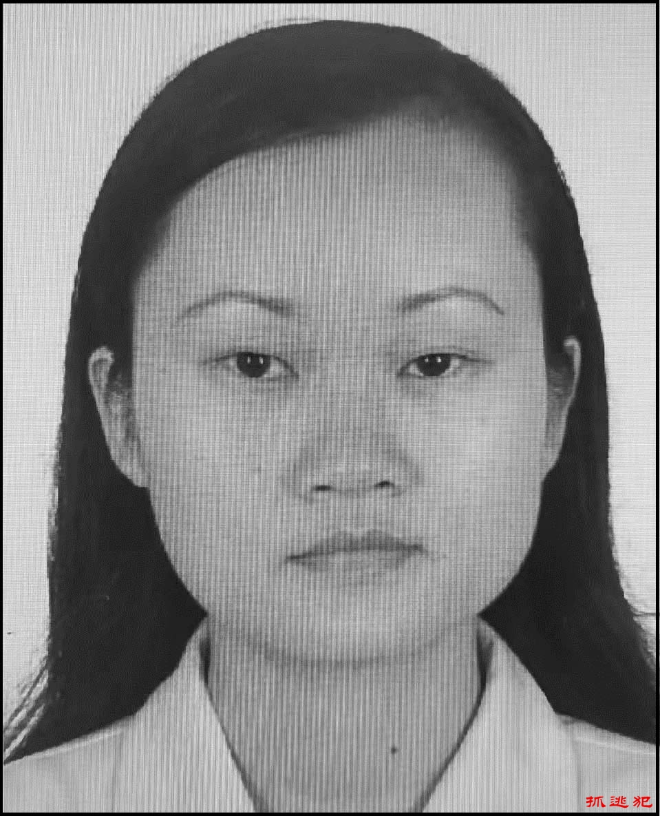 被通缉人士: 张信燕