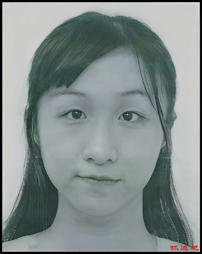 被通缉人士: 吴文君